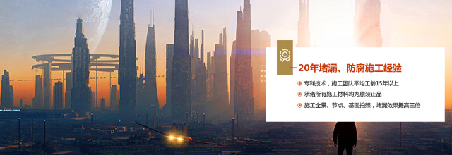 2025新澳门历史记录查询