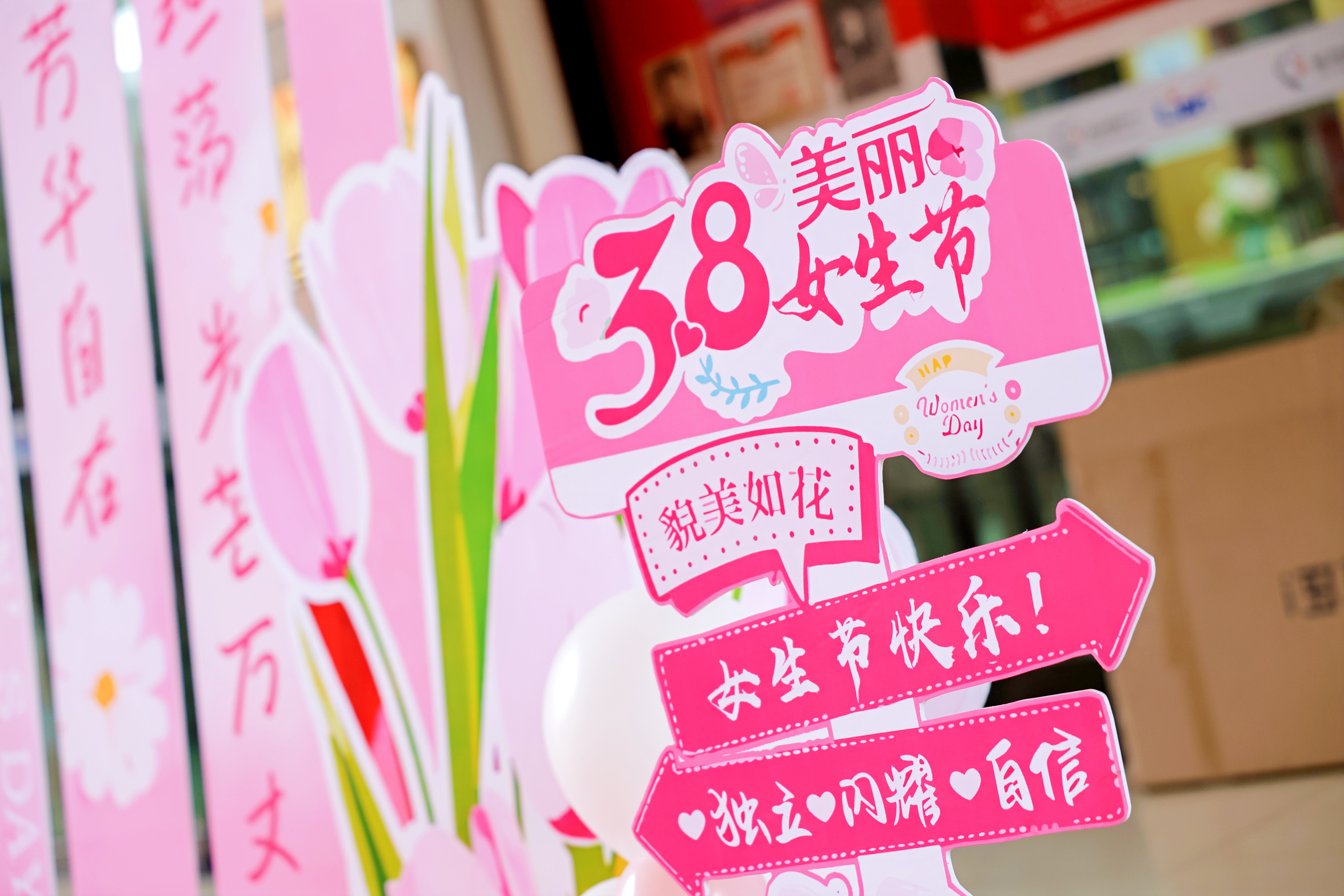 2025新澳门历史记录查询