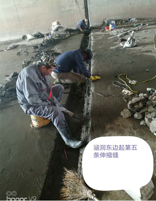 2025新澳门历史记录查询