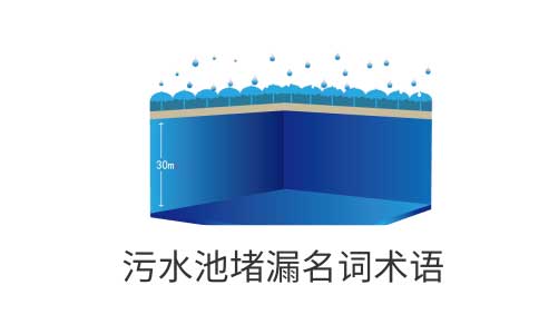 2025新澳门历史记录查询