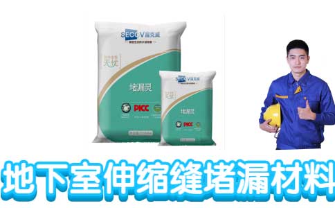 2025新澳门历史记录查询
