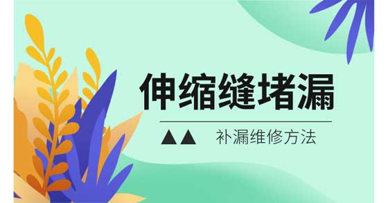 2025新澳门历史记录查询