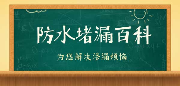 2025新澳门历史记录查询
