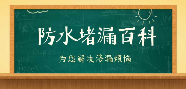 2025新澳门历史记录查询