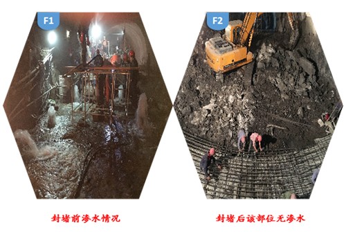2025新澳门历史记录查询