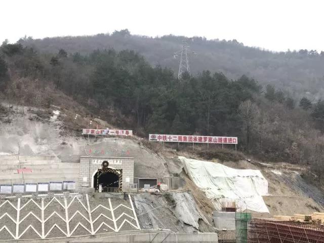 2025新澳门历史记录查询