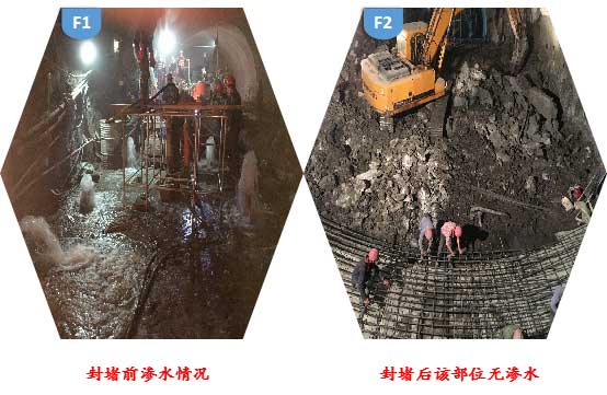 2025新澳门历史记录查询