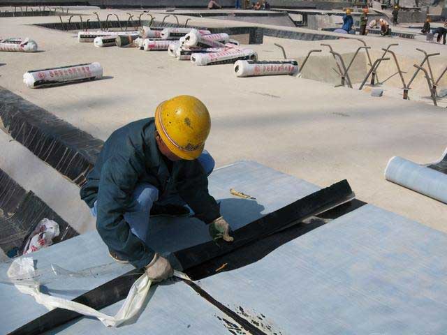 2025新澳门历史记录查询