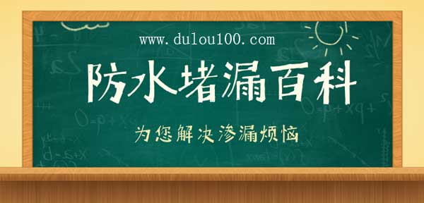 2025新澳门历史记录查询