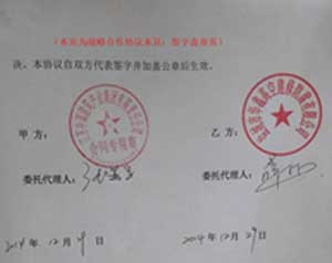 2025新澳门历史记录查询