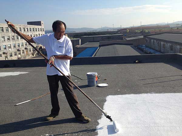 2025新澳门历史记录查询