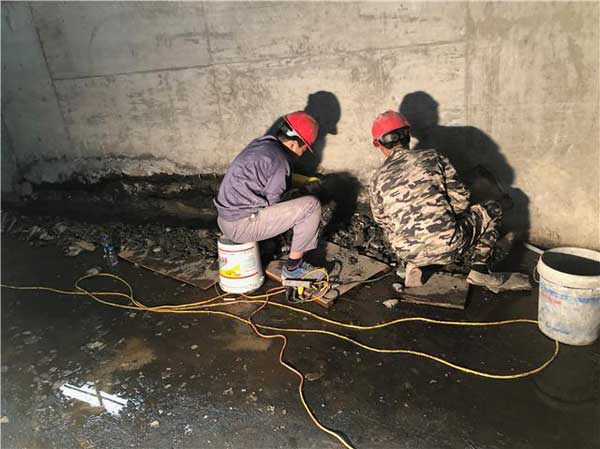 2025新澳门历史记录查询
