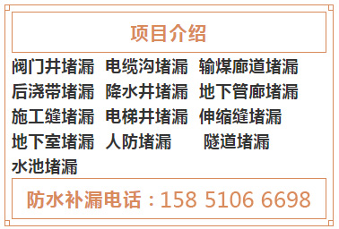2025新澳门历史记录查询