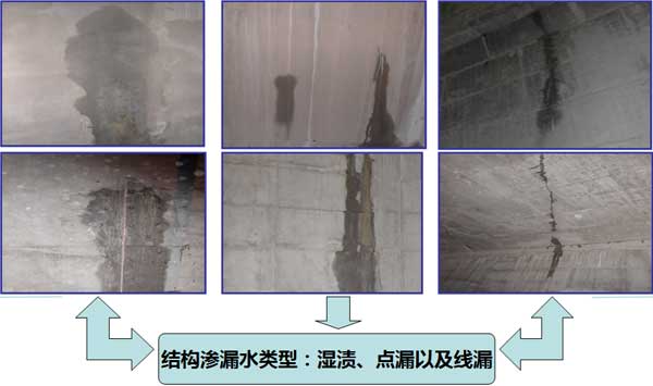 2025新澳门历史记录查询