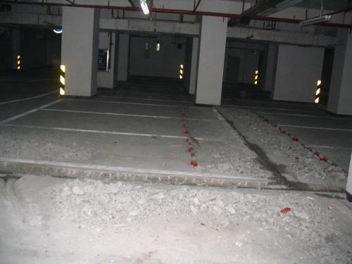 2025新澳门历史记录查询