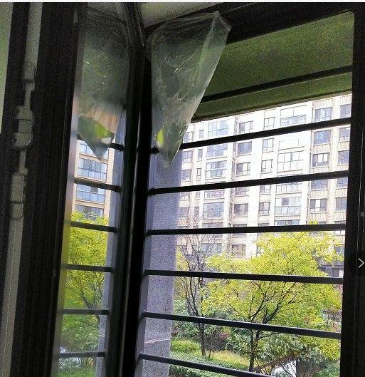 2025新澳门历史记录查询