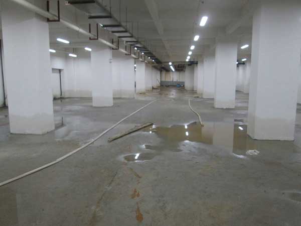 2025新澳门历史记录查询