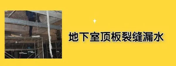 2025新澳门历史记录查询