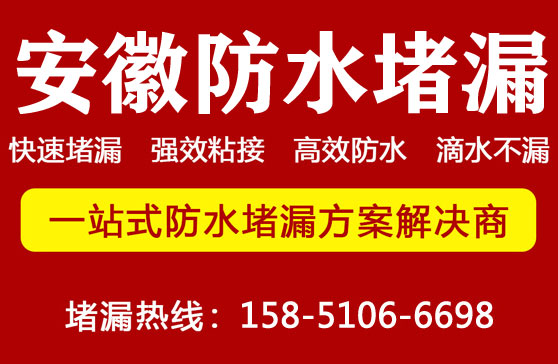 2025新澳门历史记录查询