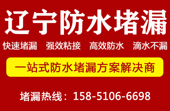 2025新澳门历史记录查询