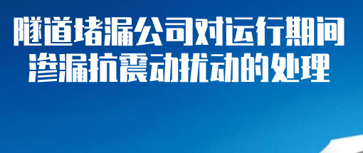 2025新澳门历史记录查询
