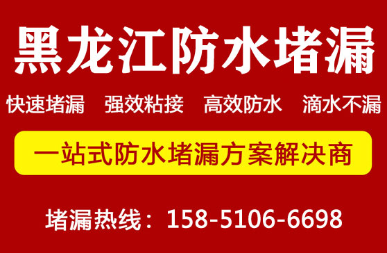 2025新澳门历史记录查询