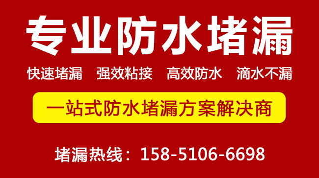 2025新澳门历史记录查询